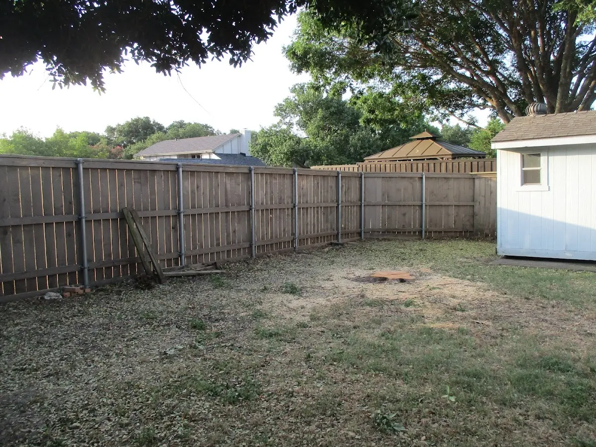 Cleared yard after professional tree removal in Boyceville